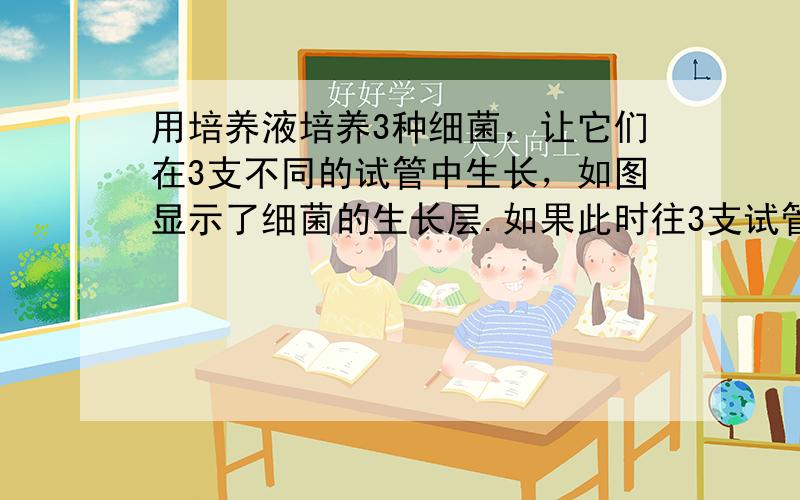 用培养液培养3种细菌，让它们在3支不同的试管中生长，如图显示了细菌的生长层.如果此时往3支试管中通入氧气，则细菌的繁殖速