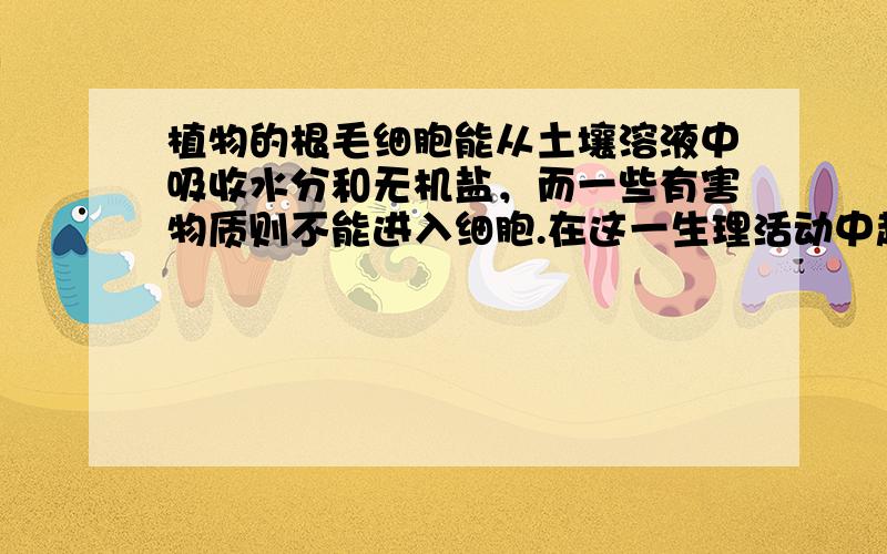 植物的根毛细胞能从土壤溶液中吸收水分和无机盐，而一些有害物质则不能进入细胞.在这一生理活动中起重要作用的是细胞的（　　）