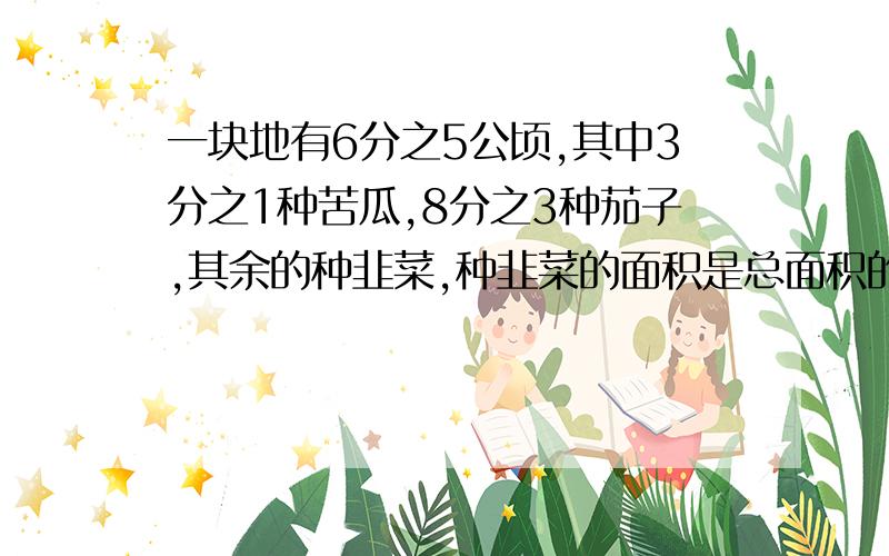 一块地有6分之5公顷,其中3分之1种苦瓜,8分之3种茄子,其余的种韭菜,种韭菜的面积是总面积的几分之几?