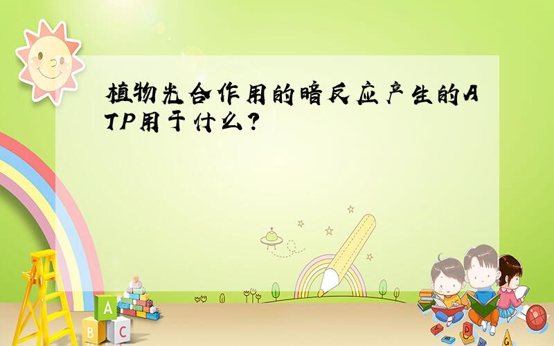 植物光合作用的暗反应产生的ATP用于什么?