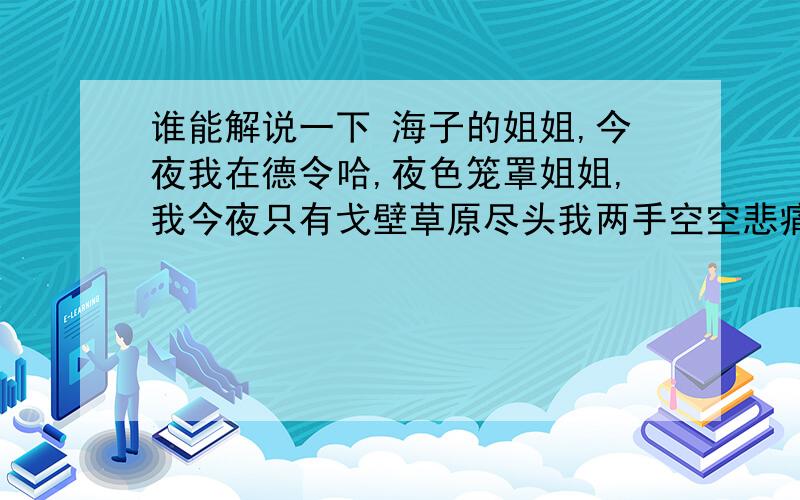 谁能解说一下 海子的姐姐,今夜我在德令哈,夜色笼罩姐姐,我今夜只有戈壁草原尽头我两手空空悲痛时握不住一颗泪滴姐姐,今夜我