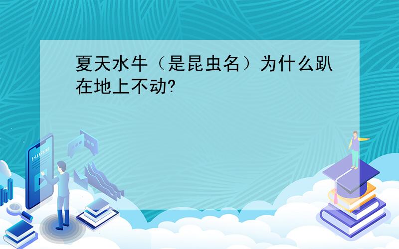 夏天水牛（是昆虫名）为什么趴在地上不动?