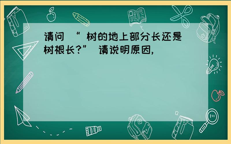 请问 “ 树的地上部分长还是树根长?” 请说明原因,