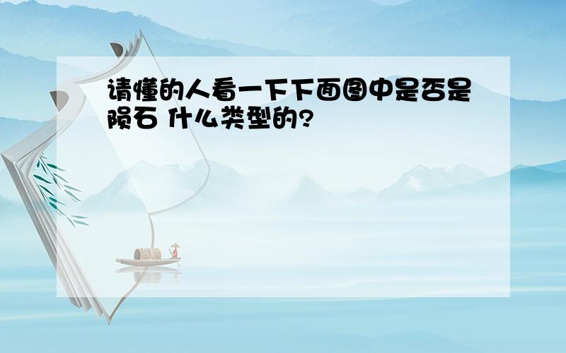 请懂的人看一下下面图中是否是陨石 什么类型的?