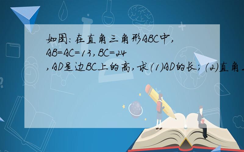 如图：在直角三角形ABC中,AB=AC=13,BC=24,AD是边BC上的高,求（1）AD的长；（2）直角三角形ABC的