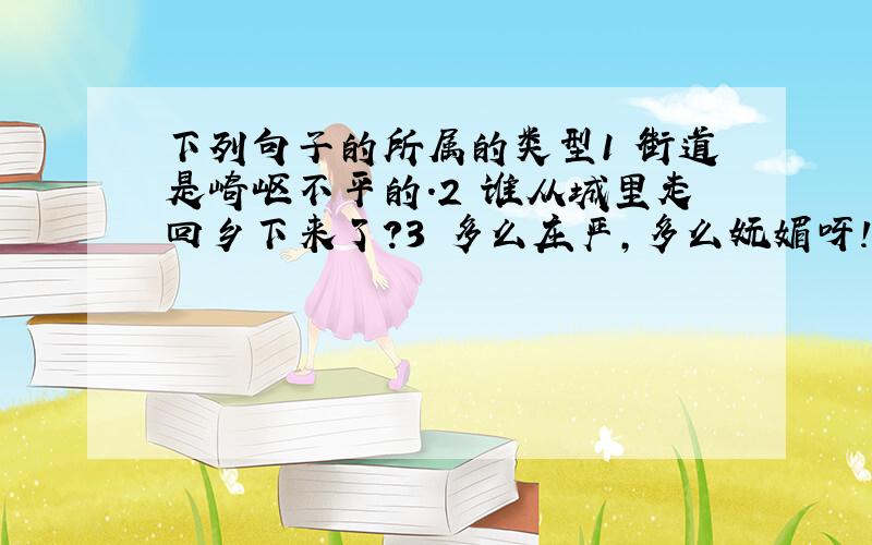 下列句子的所属的类型1 街道是崎岖不平的.2 谁从城里走回乡下来了?3 多么庄严,多么妩媚呀!4 多呆些日子,等看过樱花