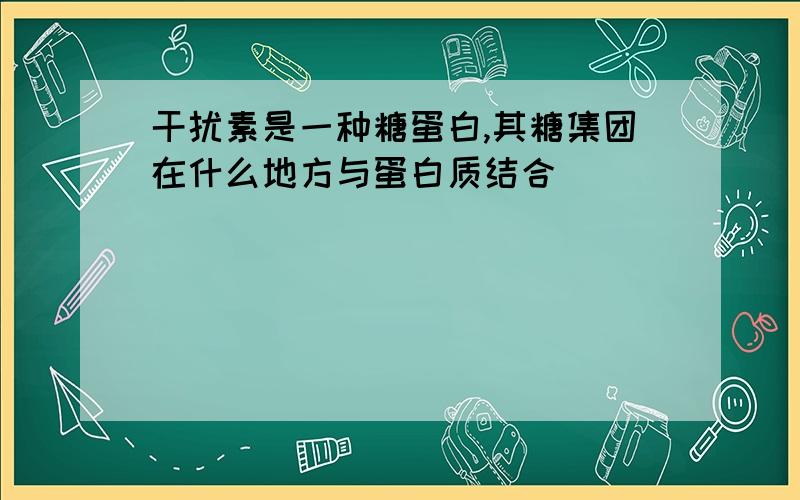 干扰素是一种糖蛋白,其糖集团在什么地方与蛋白质结合