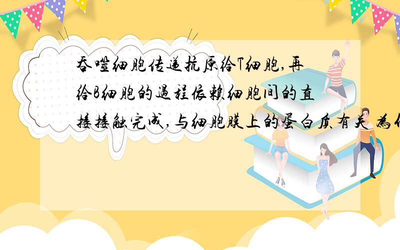 吞噬细胞传递抗原给T细胞,再给B细胞的过程依赖细胞间的直接接触完成,与细胞膜上的蛋白质有关 为什么?