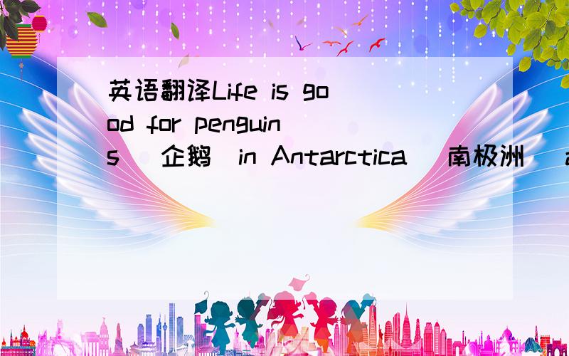 英语翻译Life is good for penguins (企鹅）in Antarctica (南极洲) at the