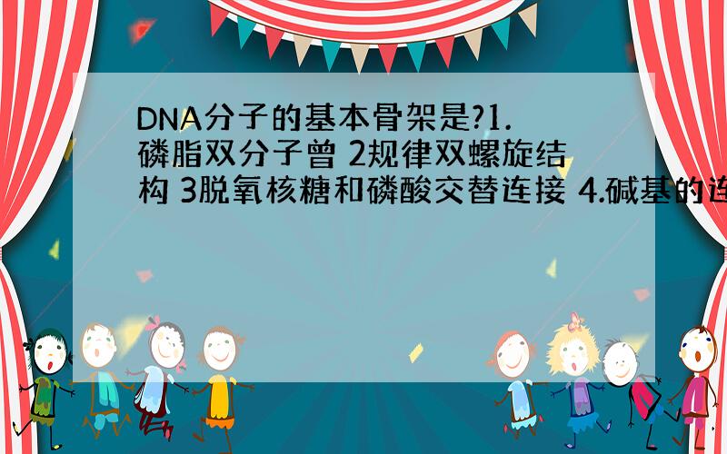 DNA分子的基本骨架是?1.磷脂双分子曾 2规律双螺旋结构 3脱氧核糖和磷酸交替连接 4.碱基的连接