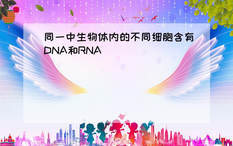 同一中生物体内的不同细胞含有DNA和RNA