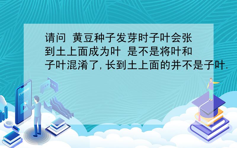 请问 黄豆种子发芽时子叶会张到土上面成为叶 是不是将叶和子叶混淆了,长到土上面的并不是子叶.