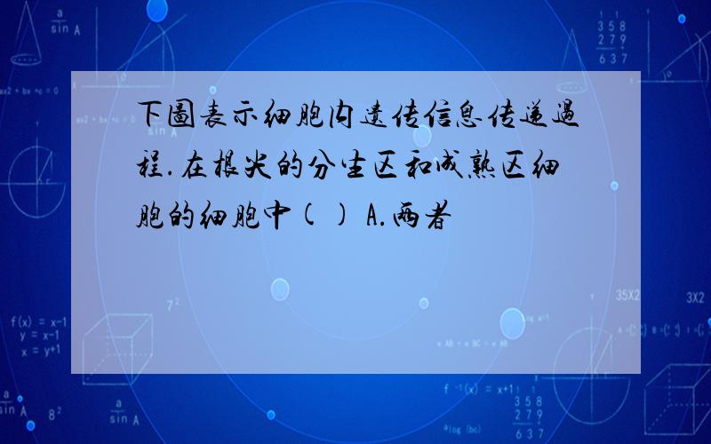 下图表示细胞内遗传信息传递过程.在根尖的分生区和成熟区细胞的细胞中() A.两者