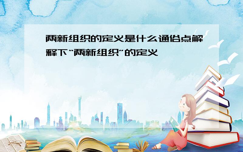 两新组织的定义是什么通俗点解释下“两新组织”的定义