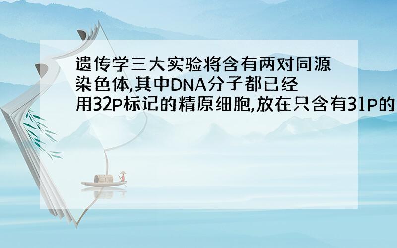 遗传学三大实验将含有两对同源染色体,其中DNA分子都已经用32P标记的精原细胞,放在只含有31P的原料中进行减数分裂.则