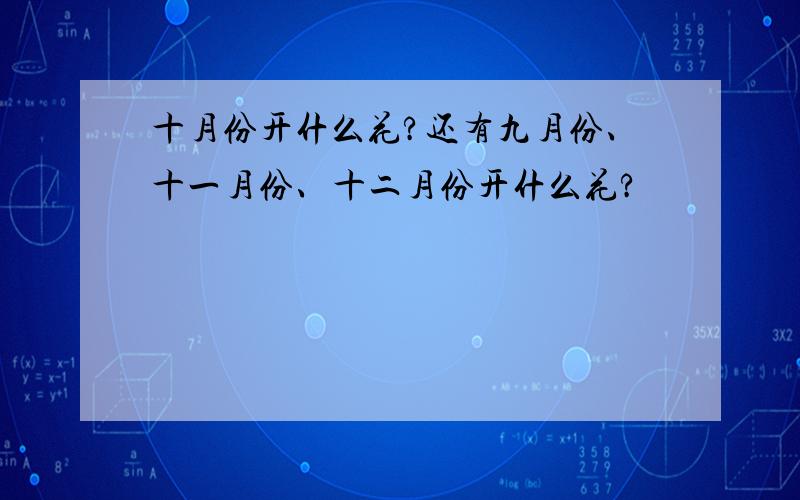 十月份开什么花?还有九月份、十一月份、十二月份开什么花?