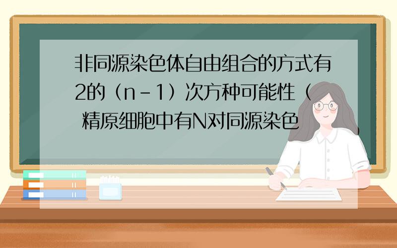 非同源染色体自由组合的方式有2的（n-1）次方种可能性（ 精原细胞中有N对同源染色