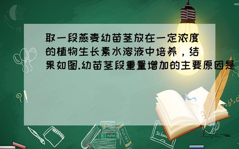 取一段燕麦幼苗茎放在一定浓度的植物生长素水溶液中培养，结果如图.幼苗茎段重量增加的主要原因是（　　）