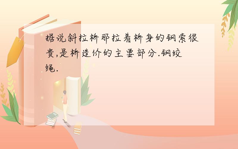 据说斜拉桥那拉着桥身的钢索很贵,是桥造价的主要部分.钢绞绳.