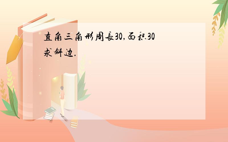 直角三角形周长30,面积30求斜边.