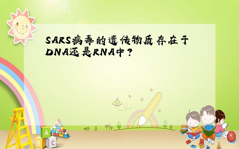 SARS病毒的遗传物质存在于DNA还是RNA中?