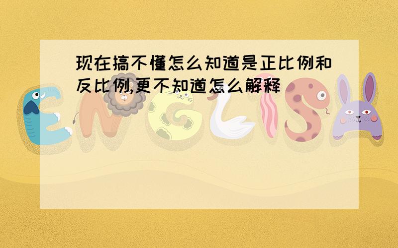 现在搞不懂怎么知道是正比例和反比例,更不知道怎么解释