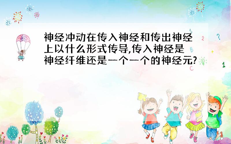 神经冲动在传入神经和传出神经上以什么形式传导,传入神经是神经纤维还是一个一个的神经元?