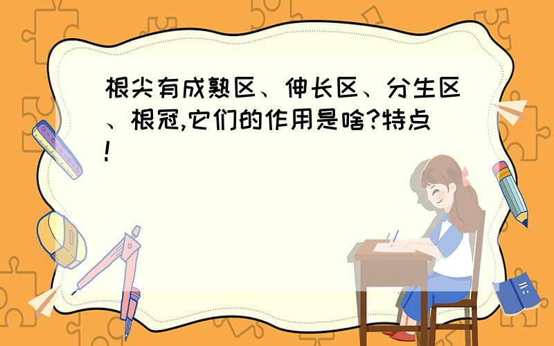 根尖有成熟区、伸长区、分生区、根冠,它们的作用是啥?特点!