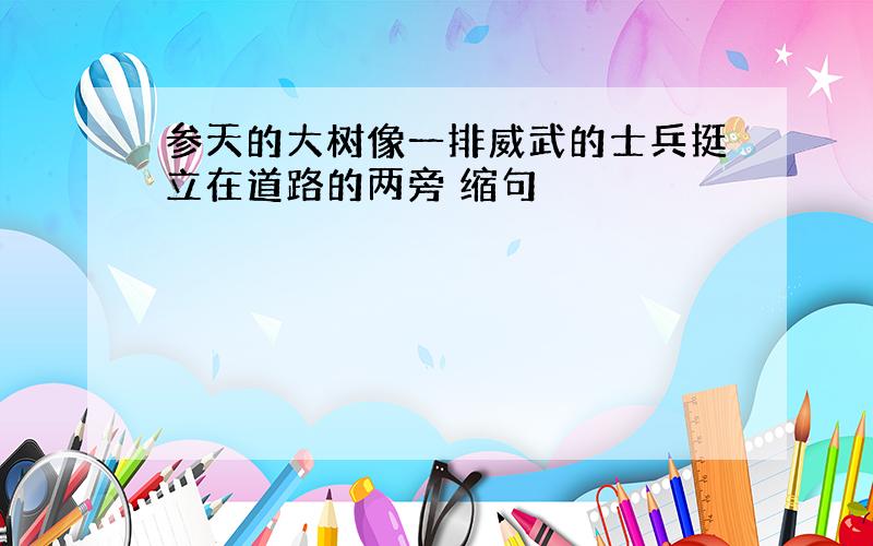 参天的大树像一排威武的士兵挺立在道路的两旁 缩句