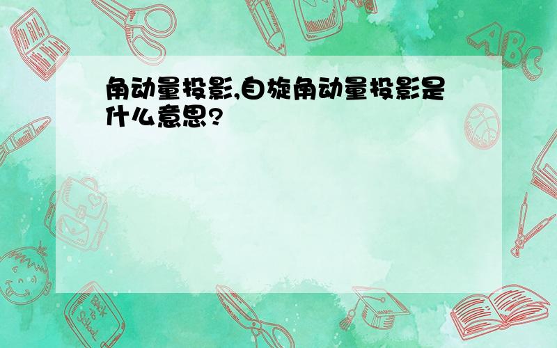 角动量投影,自旋角动量投影是什么意思?