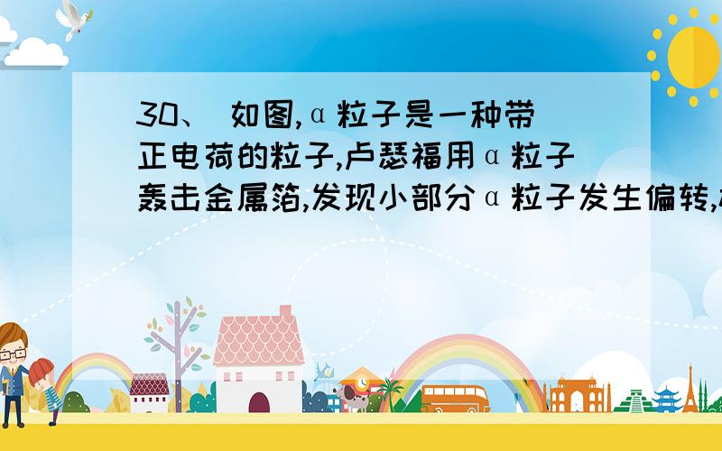 30、 如图,α粒子是一种带正电荷的粒子,卢瑟福用α粒子轰击金属箔,发现小部分α粒子发生偏转,极少的α