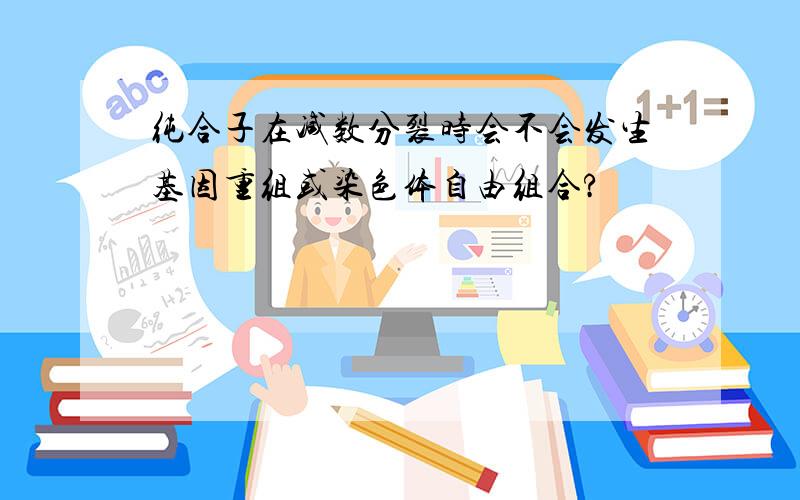 纯合子在减数分裂时会不会发生基因重组或染色体自由组合?