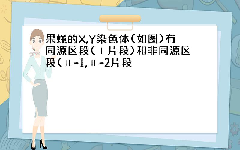 果蝇的X,Y染色体(如图)有同源区段(Ⅰ片段)和非同源区段(Ⅱ-1,Ⅱ-2片段