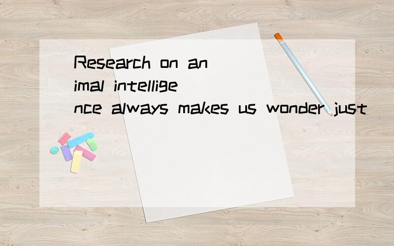 Research on animal intelligence always makes us wonder just