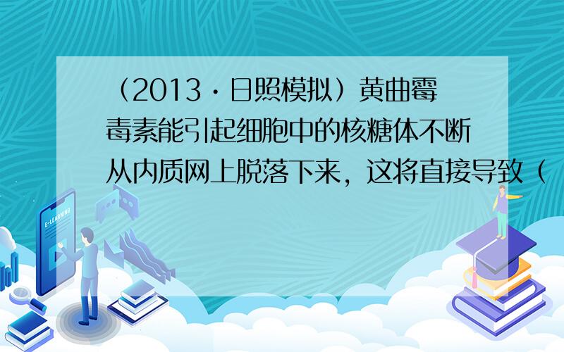 （2013•日照模拟）黄曲霉毒素能引起细胞中的核糖体不断从内质网上脱落下来，这将直接导致（　　）