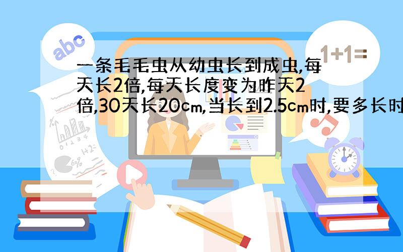 一条毛毛虫从幼虫长到成虫,每天长2倍,每天长度变为昨天2倍,30天长20cm,当长到2.5cm时,要多长时间?