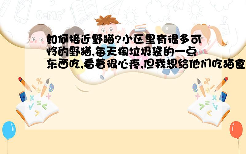 如何接近野猫?小区里有很多可怜的野猫,每天掏垃圾袋的一点东西吃,看着很心疼,但我想给他们吃猫食,我一接近他们就跑了,猫不