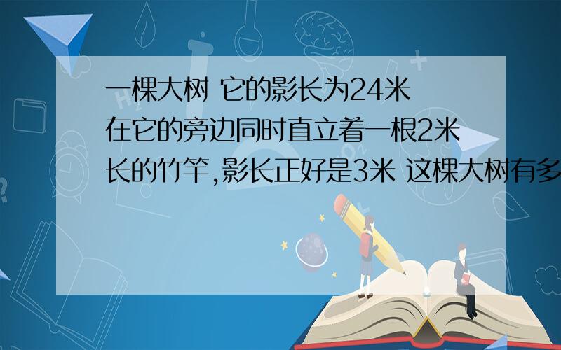 一棵大树 它的影长为24米 在它的旁边同时直立着一根2米长的竹竿,影长正好是3米 这棵大树有多高?