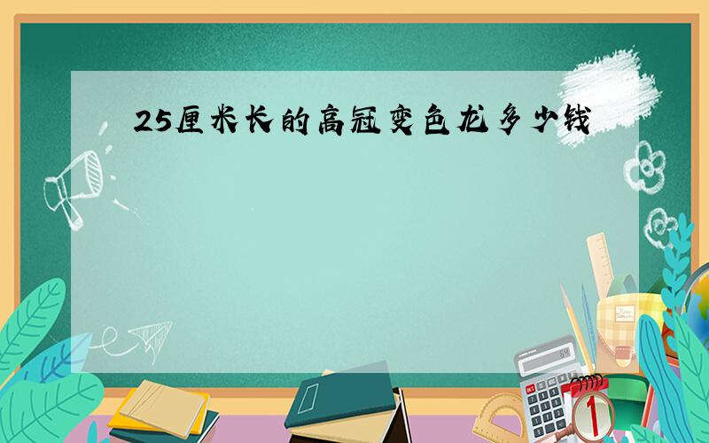 25厘米长的高冠变色龙多少钱