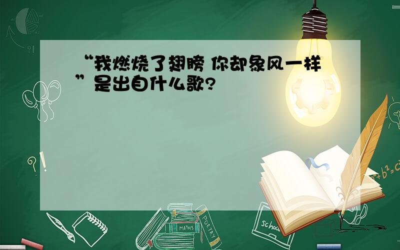 “我燃烧了翅膀 你却象风一样”是出自什么歌?