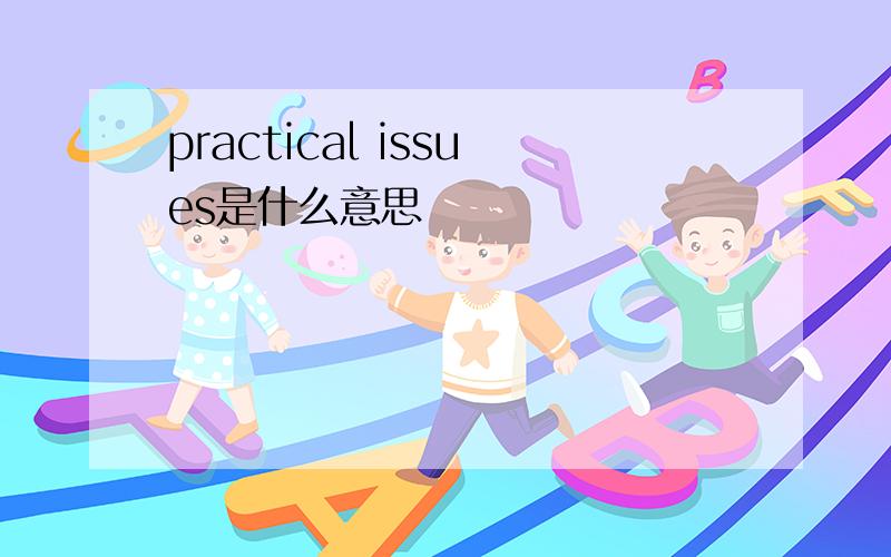 practical issues是什么意思