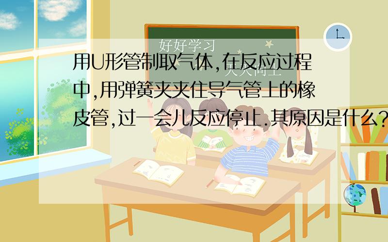 用U形管制取气体,在反应过程中,用弹簧夹夹住导气管上的橡皮管,过一会儿反应停止.其原因是什么?