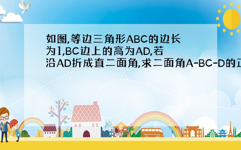 如图,等边三角形ABC的边长为1,BC边上的高为AD,若沿AD折成直二面角,求二面角A-BC-D的正切值