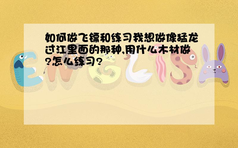 如何做飞镖和练习我想做像猛龙过江里面的那种,用什么木材做?怎么练习?