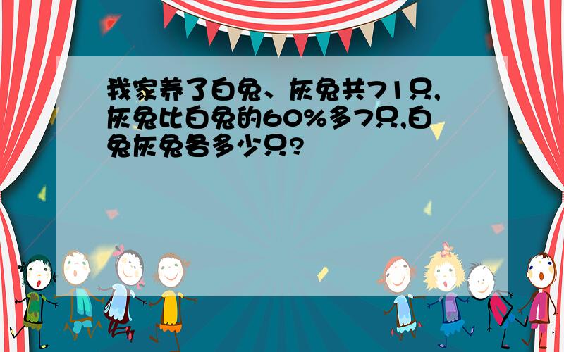 我家养了白兔、灰兔共71只,灰兔比白兔的60%多7只,白兔灰兔各多少只?