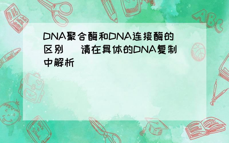 DNA聚合酶和DNA连接酶的区别 （请在具体的DNA复制中解析）