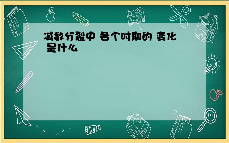 减数分裂中 各个时期的 变化 是什么