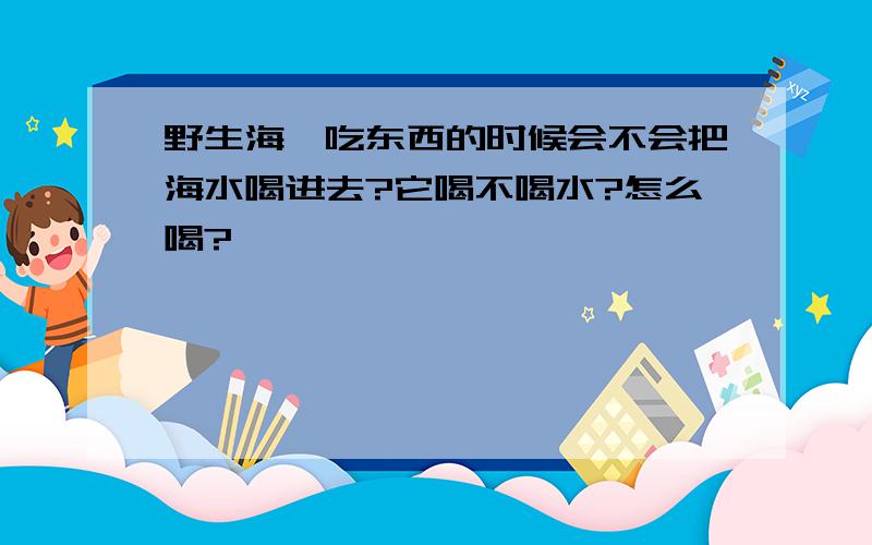 野生海豚吃东西的时候会不会把海水喝进去?它喝不喝水?怎么喝?