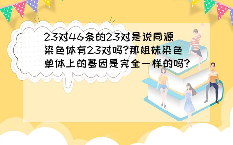 23对46条的23对是说同源染色体有23对吗?那姐妹染色单体上的基因是完全一样的吗?