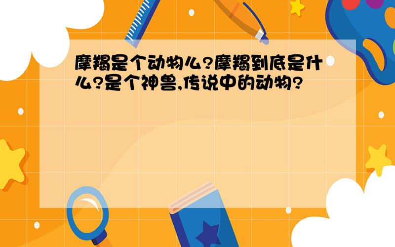 摩羯是个动物么?摩羯到底是什么?是个神兽,传说中的动物?